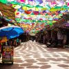 Full Day Duong Lam Ancient Village