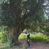 Full Day Duong Lam Ancient Village