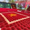 Incense Village & Conical Hat Village